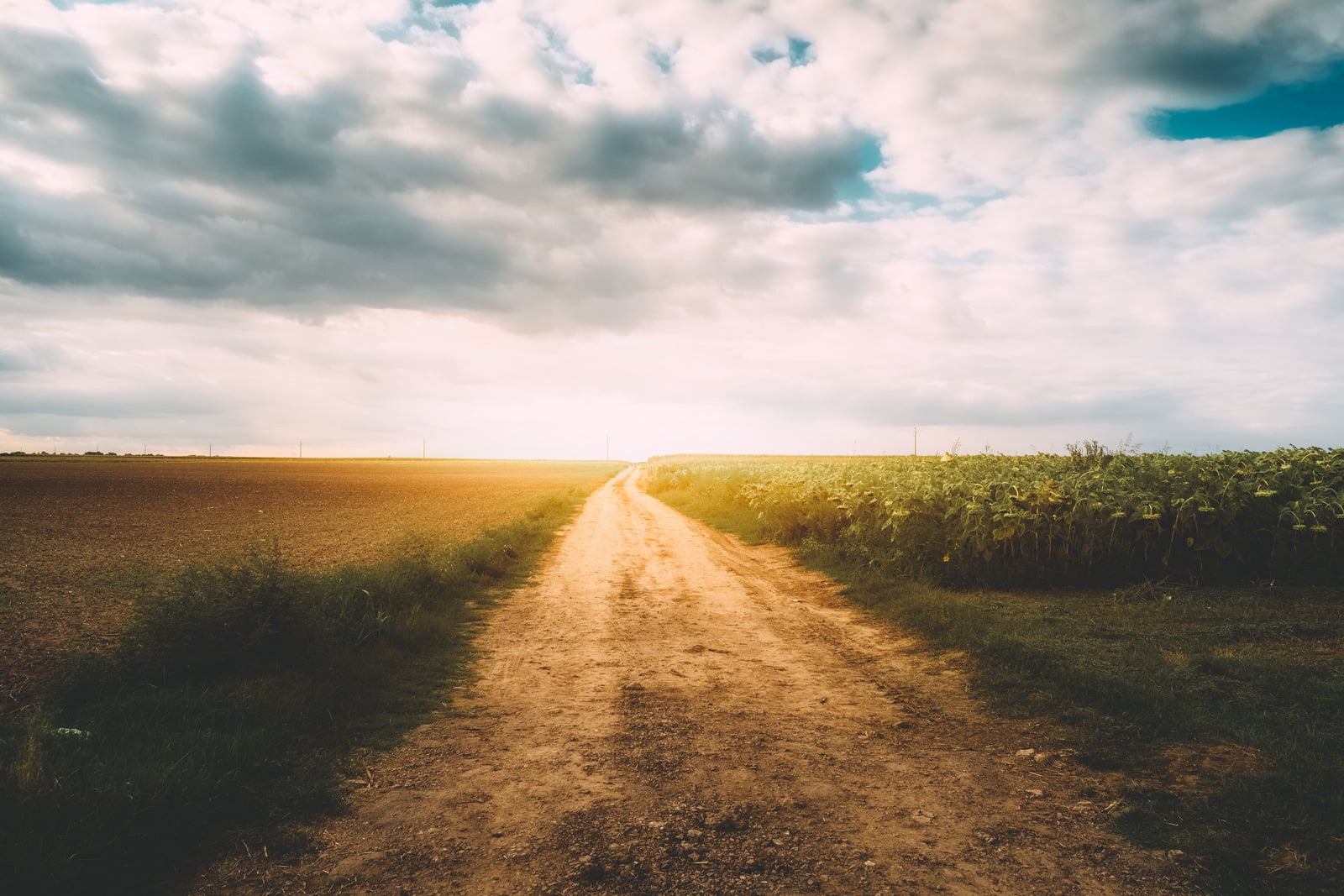 A dirt path leading through open fields toward a bright horizon