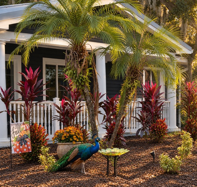 The Legal Loft & Studio building with a tropical garden and a peacock at the entrance